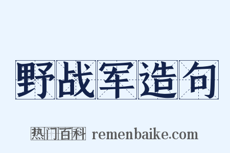 野战军造句是什么意思的图片